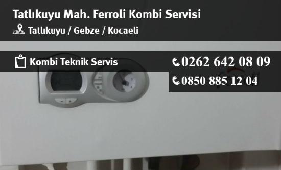 Tatlıkuyu Ferroli Kombi Servisi İletişim