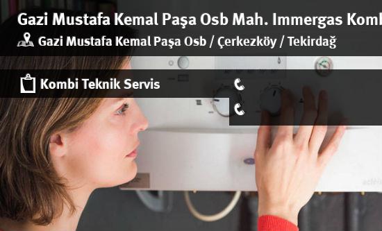 Gazi Mustafa Kemal Paşa Osb Immergas Kombi Servisi İletişim